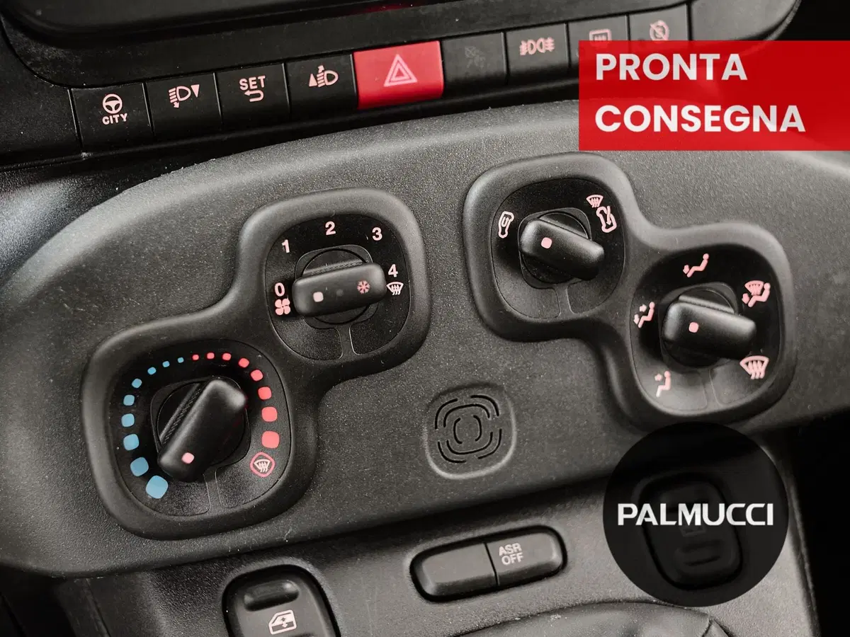 Fiat Panda Cross usata a Prato (12)