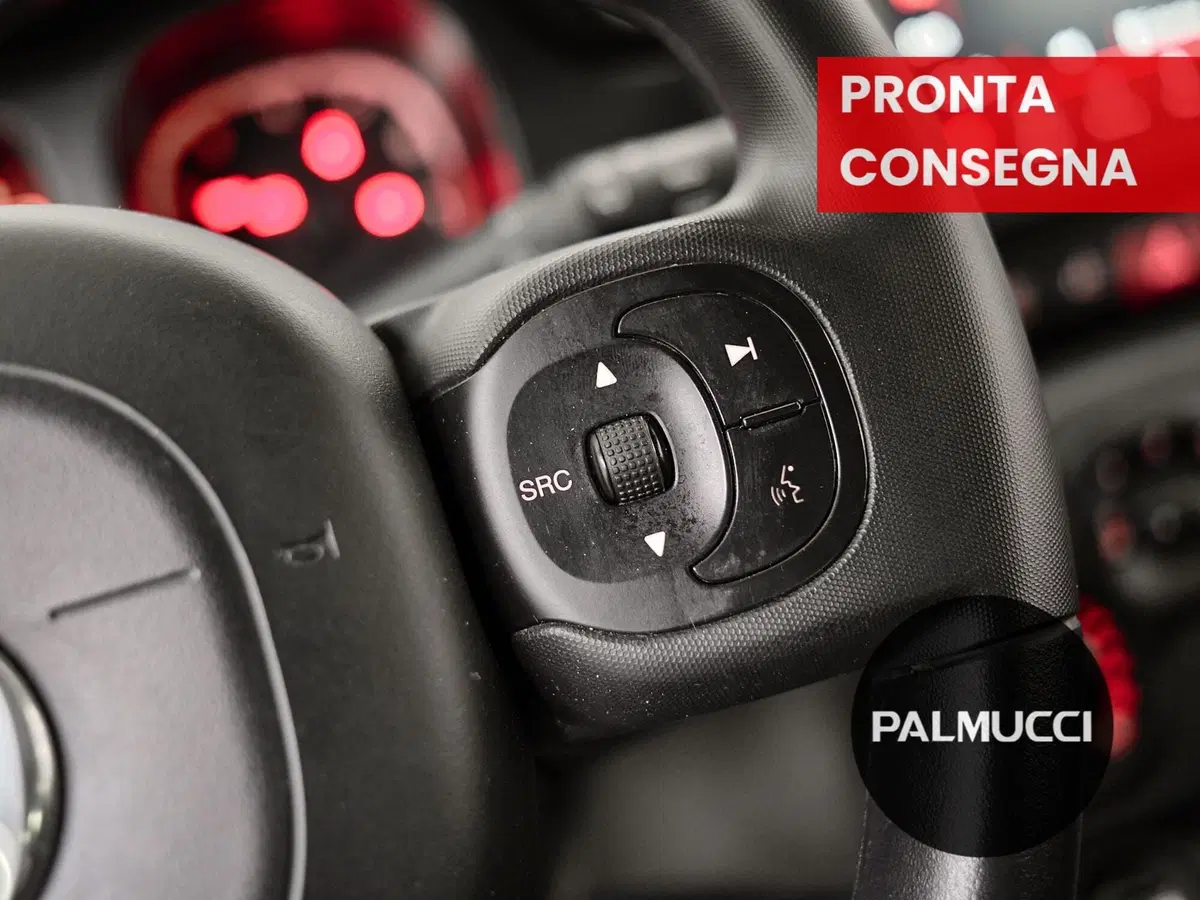 Fiat Panda Cross usata a Prato (13)