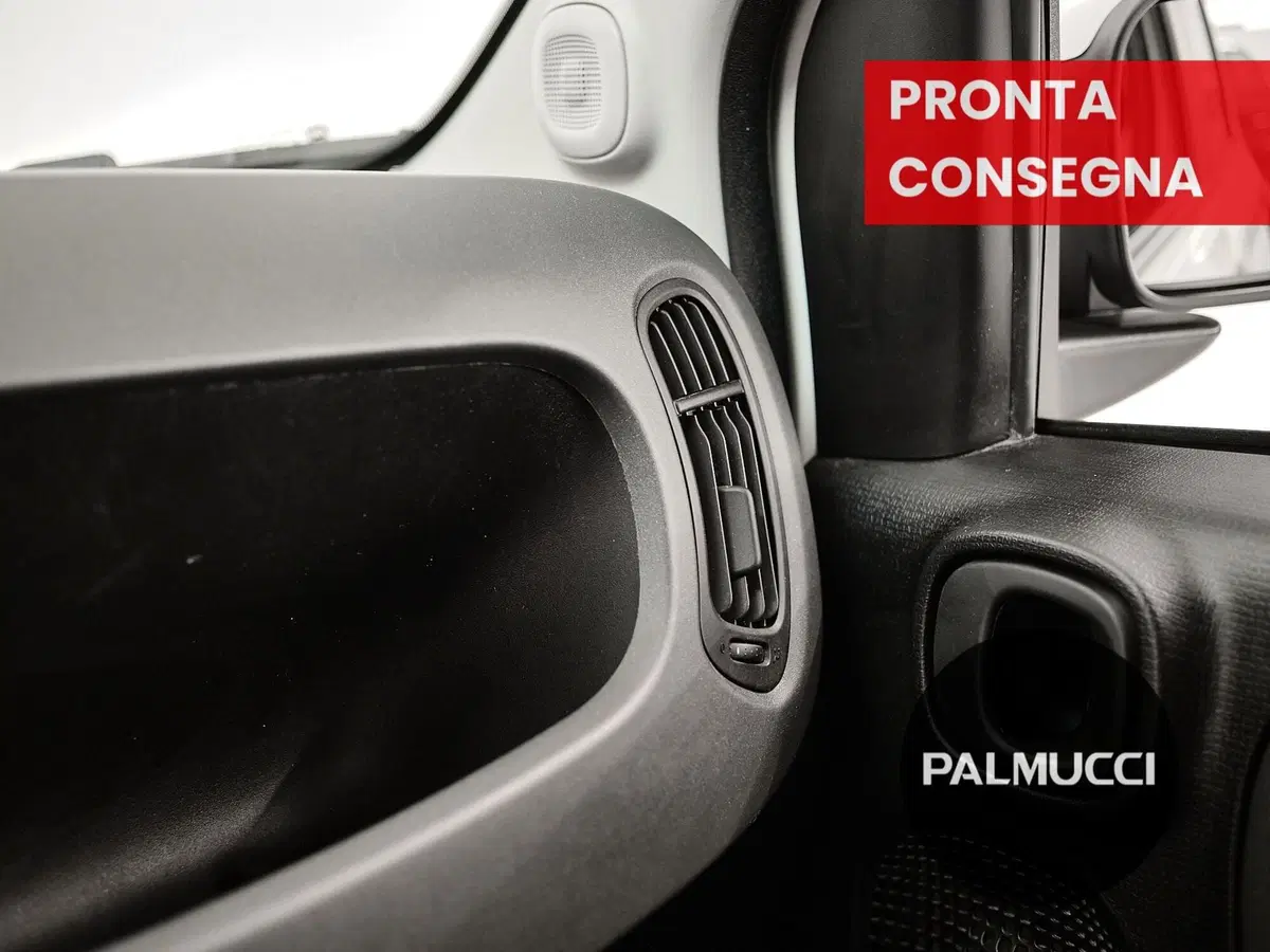 Fiat Panda Cross usata a Prato (17)