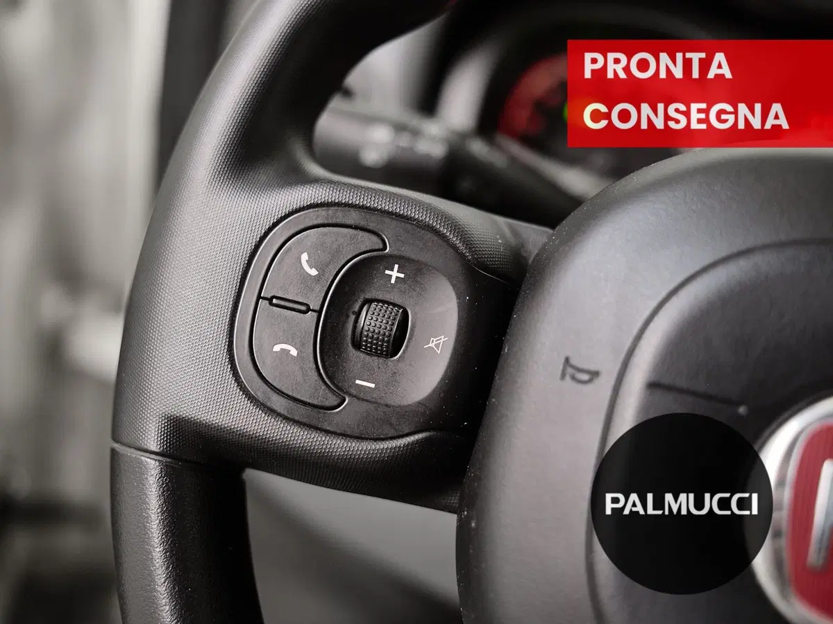 Fiat Panda Cross usata a Prato (20)