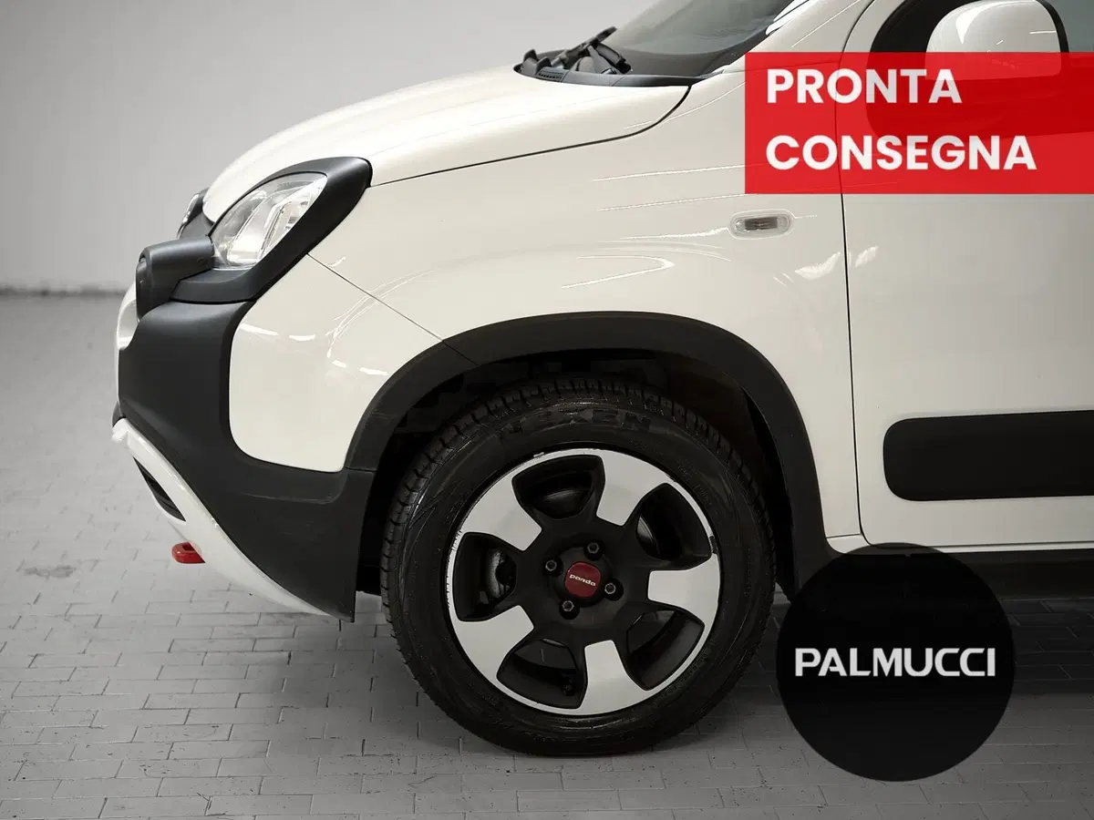 Fiat Panda Cross usata a Prato (6)