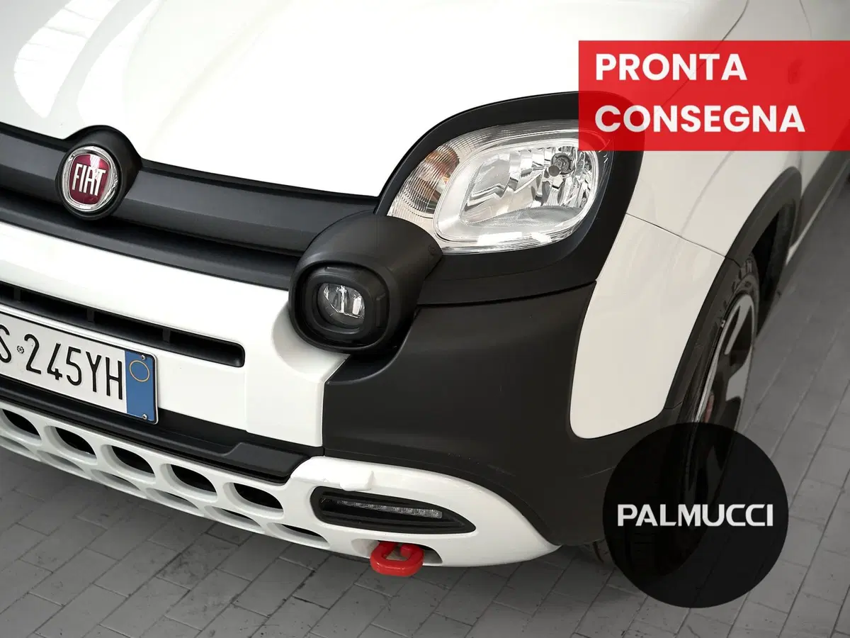 Fiat Panda Cross usata a Prato (7)
