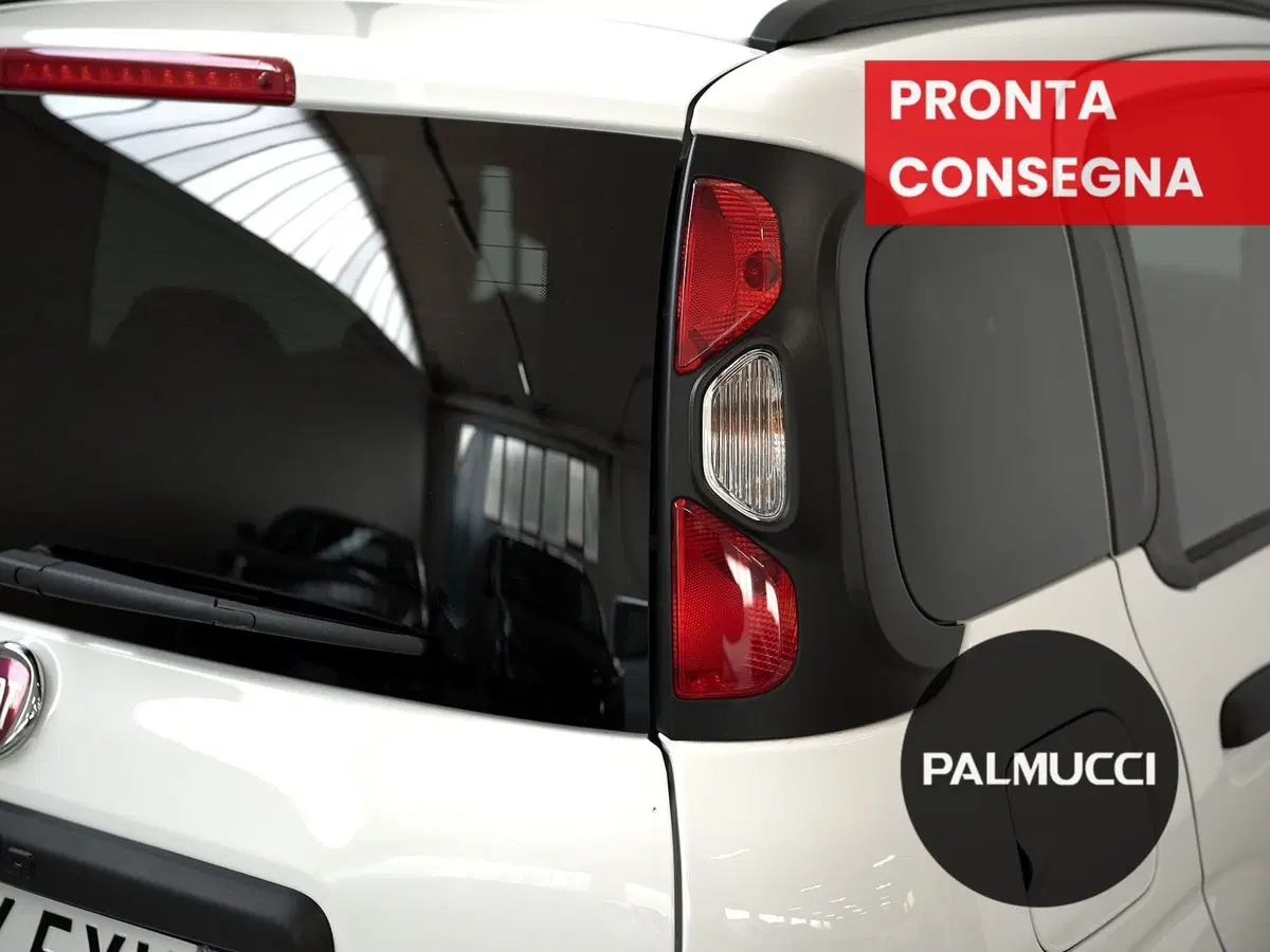 Fiat Panda Cross usata a Prato (8)