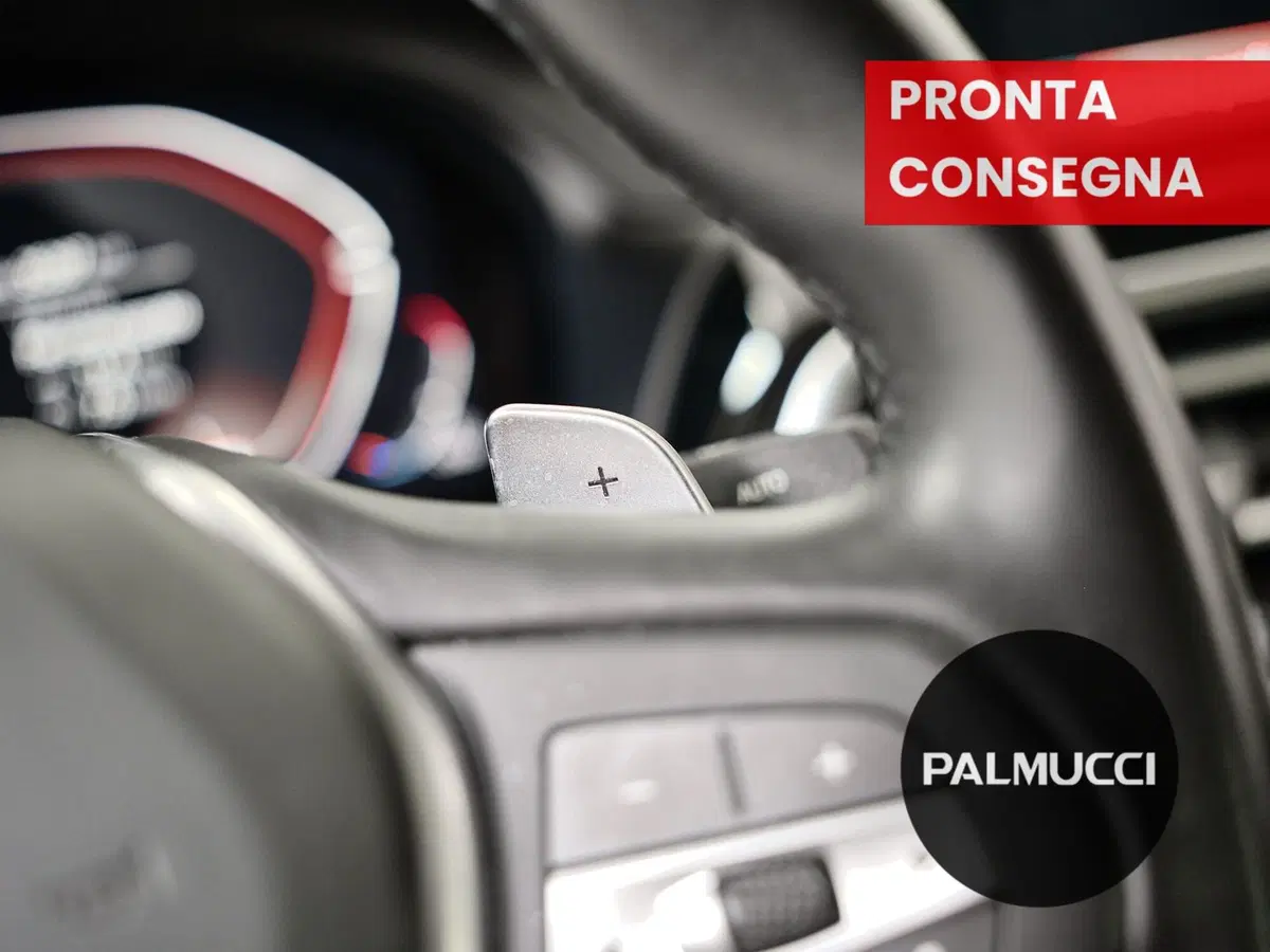 BMW X4 usata a Prato (19)