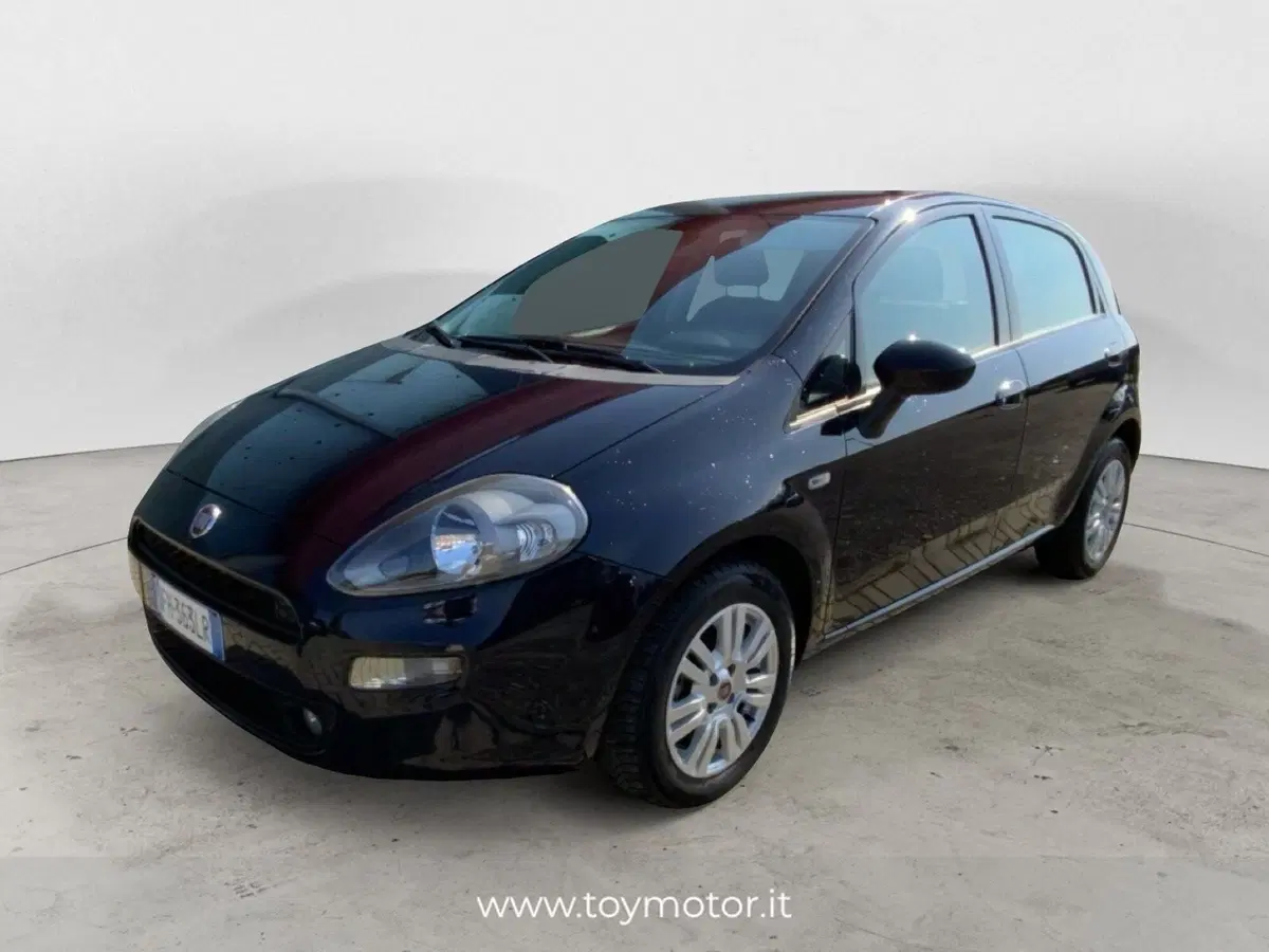Fiat Punto usata a Perugia