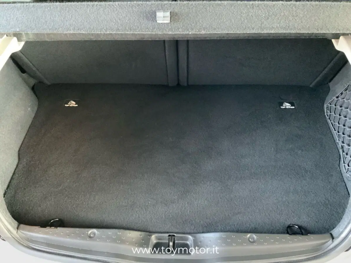 smart forfour usata a Arezzo (14)