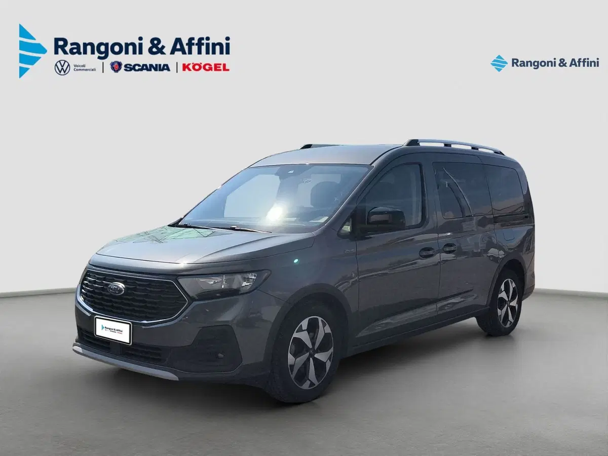 Ford Tourneo Connect usata a Brescia (2)