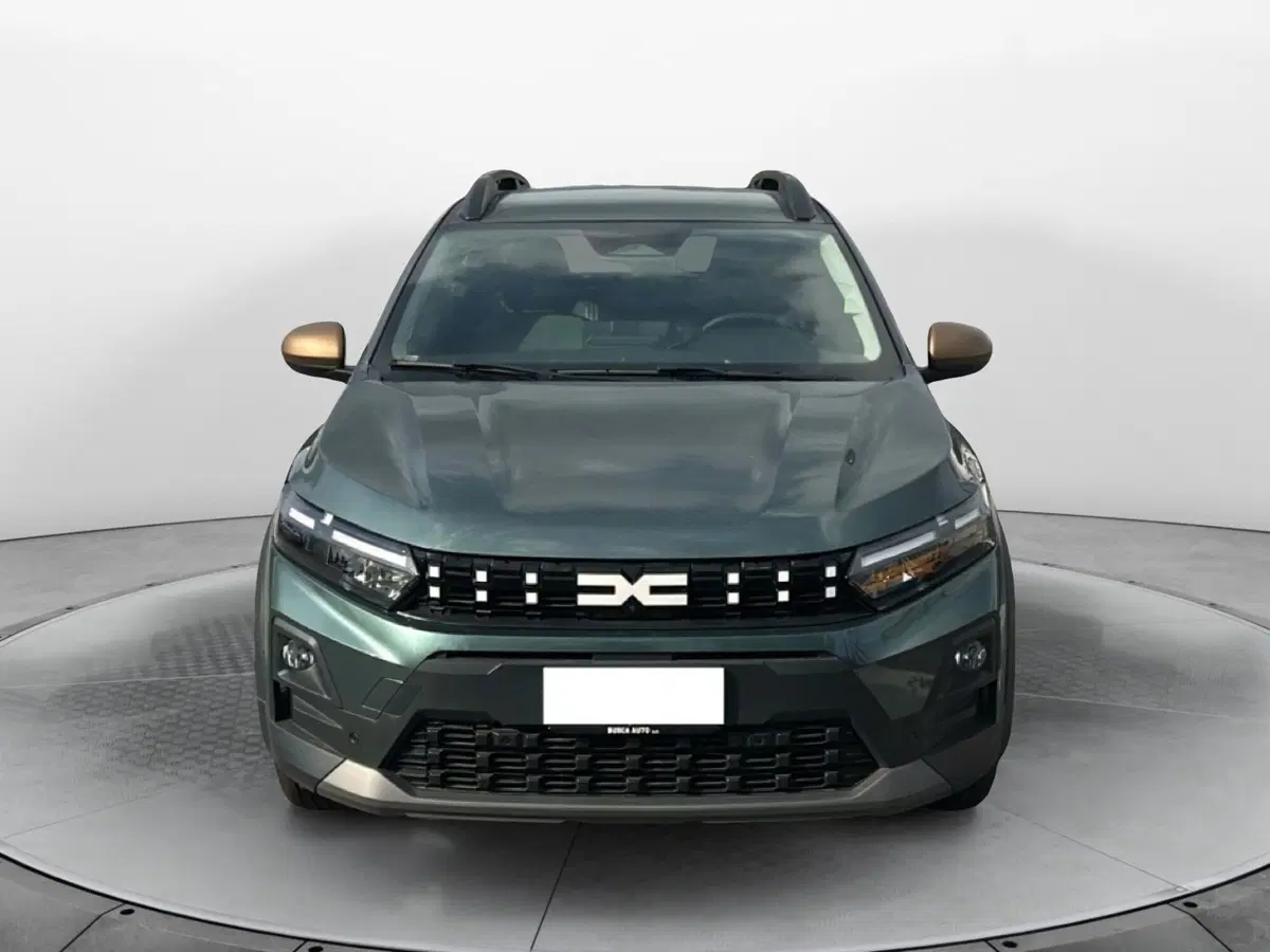 Dacia Sandero Stepway usata a Frosinone (8)