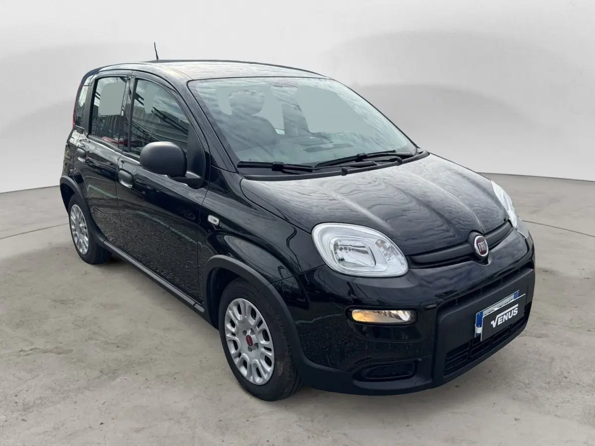 Fiat Panda Cross usata a Monza e Brianza (16)