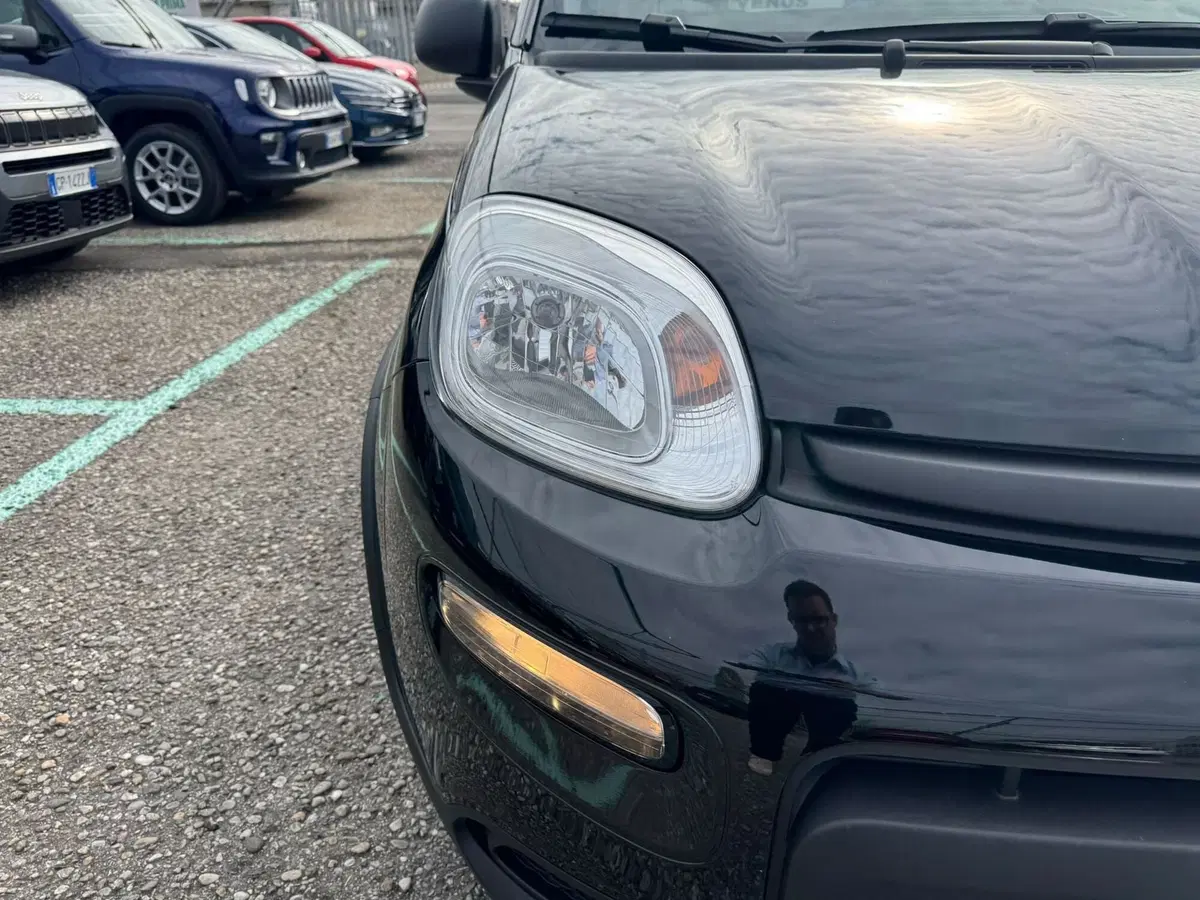 Fiat Panda Cross usata a Monza e Brianza (17)