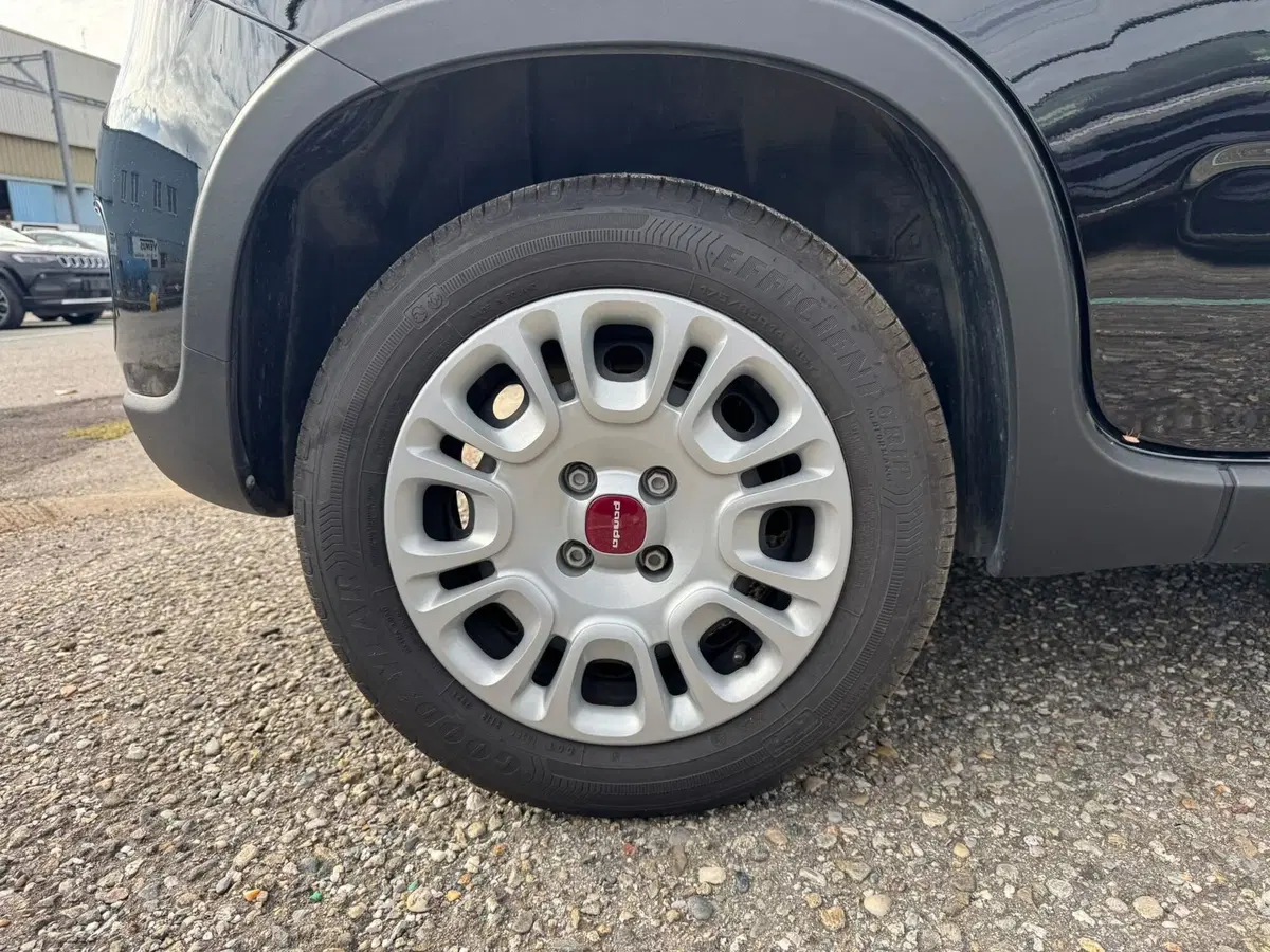 Fiat Panda Cross usata a Monza e Brianza (19)