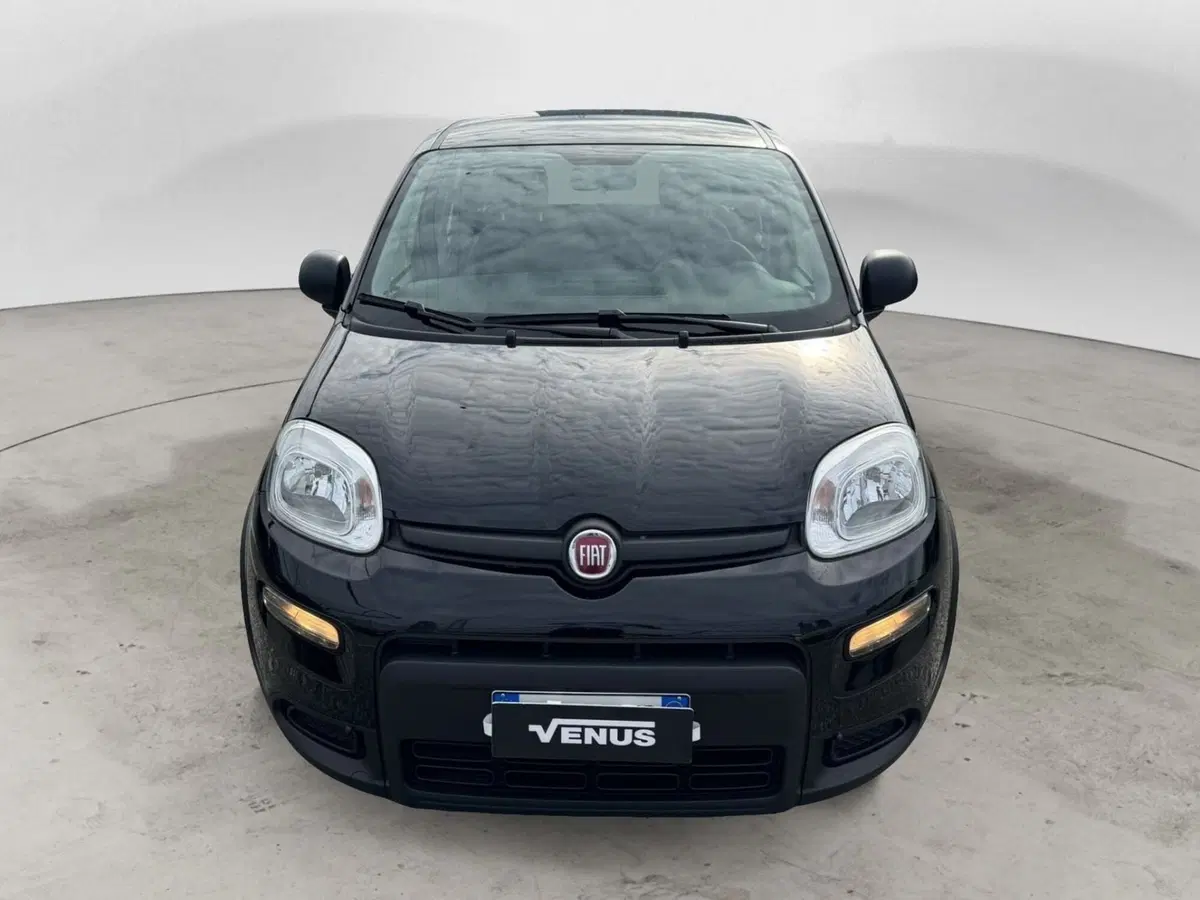 Fiat Panda Cross usata a Monza e Brianza (2)