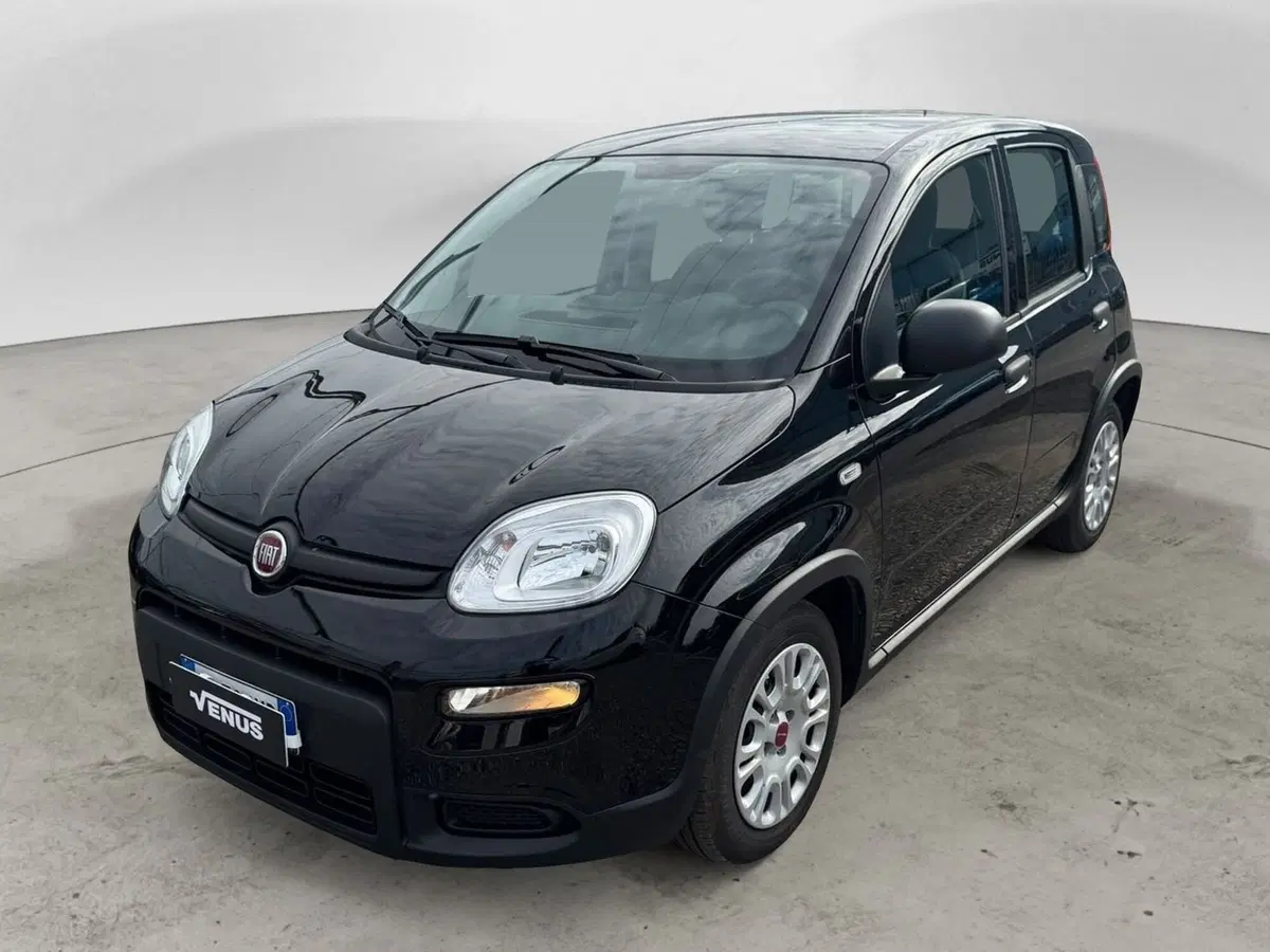 Fiat Panda Cross usata a Monza e Brianza (3)