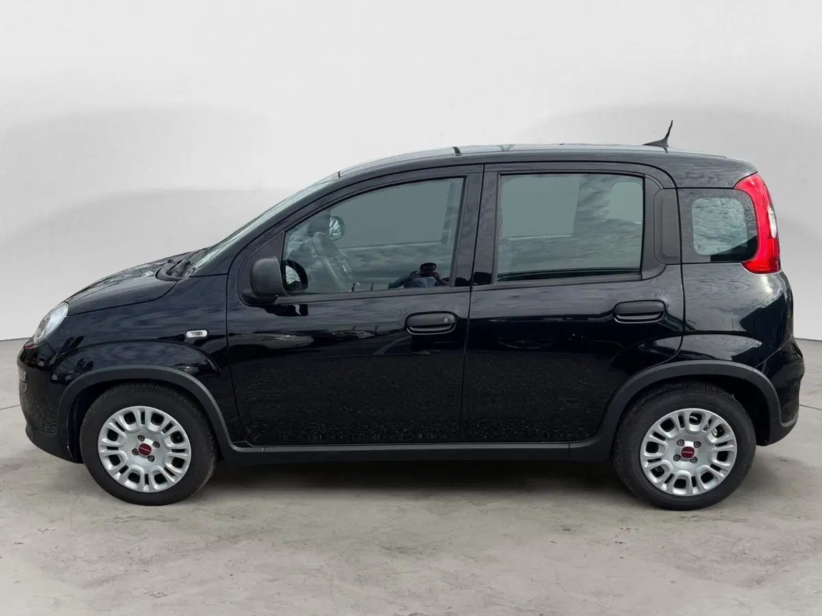 Fiat Panda Cross usata a Monza e Brianza (4)