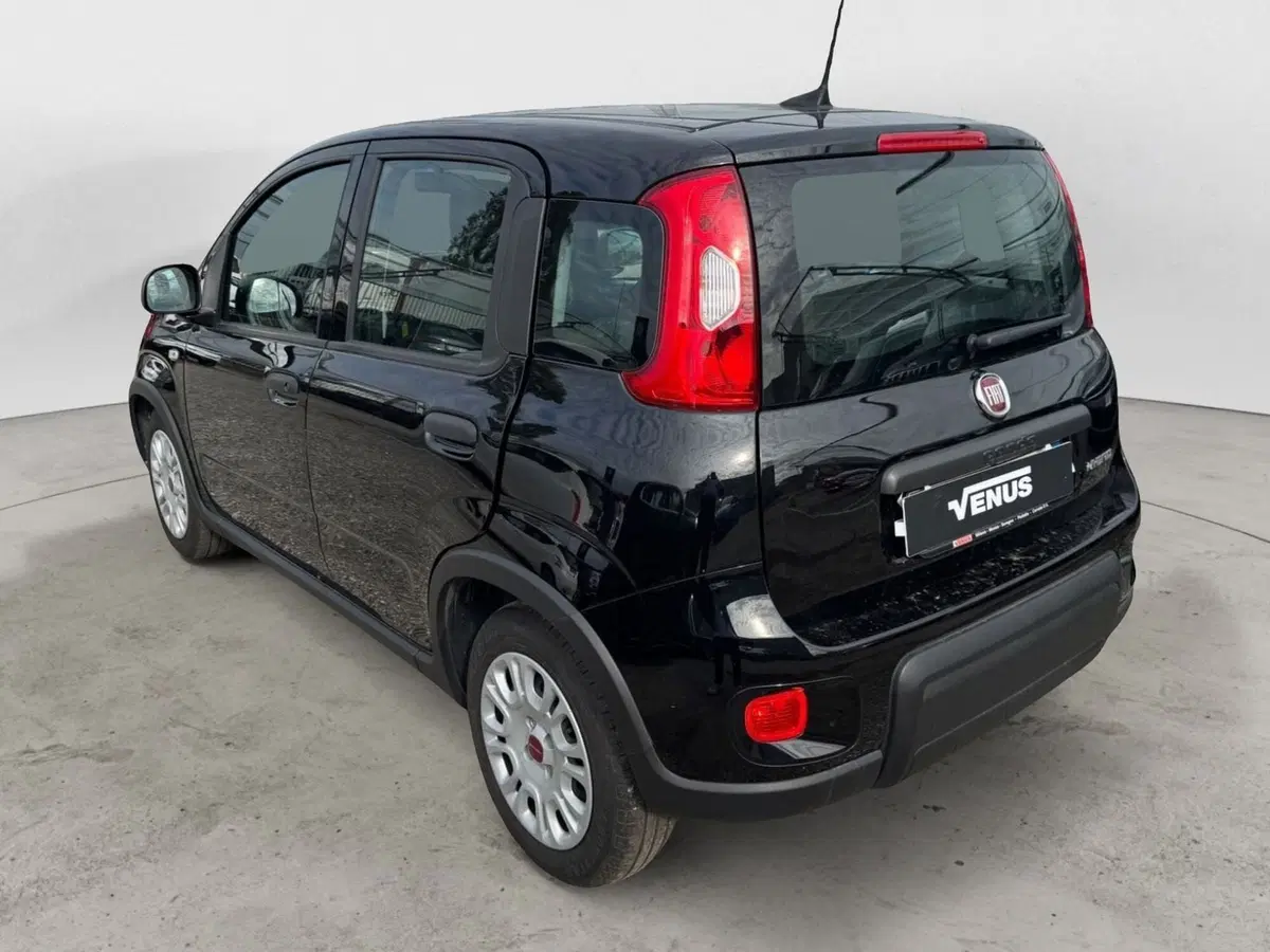 Fiat Panda Cross usata a Monza e Brianza (5)