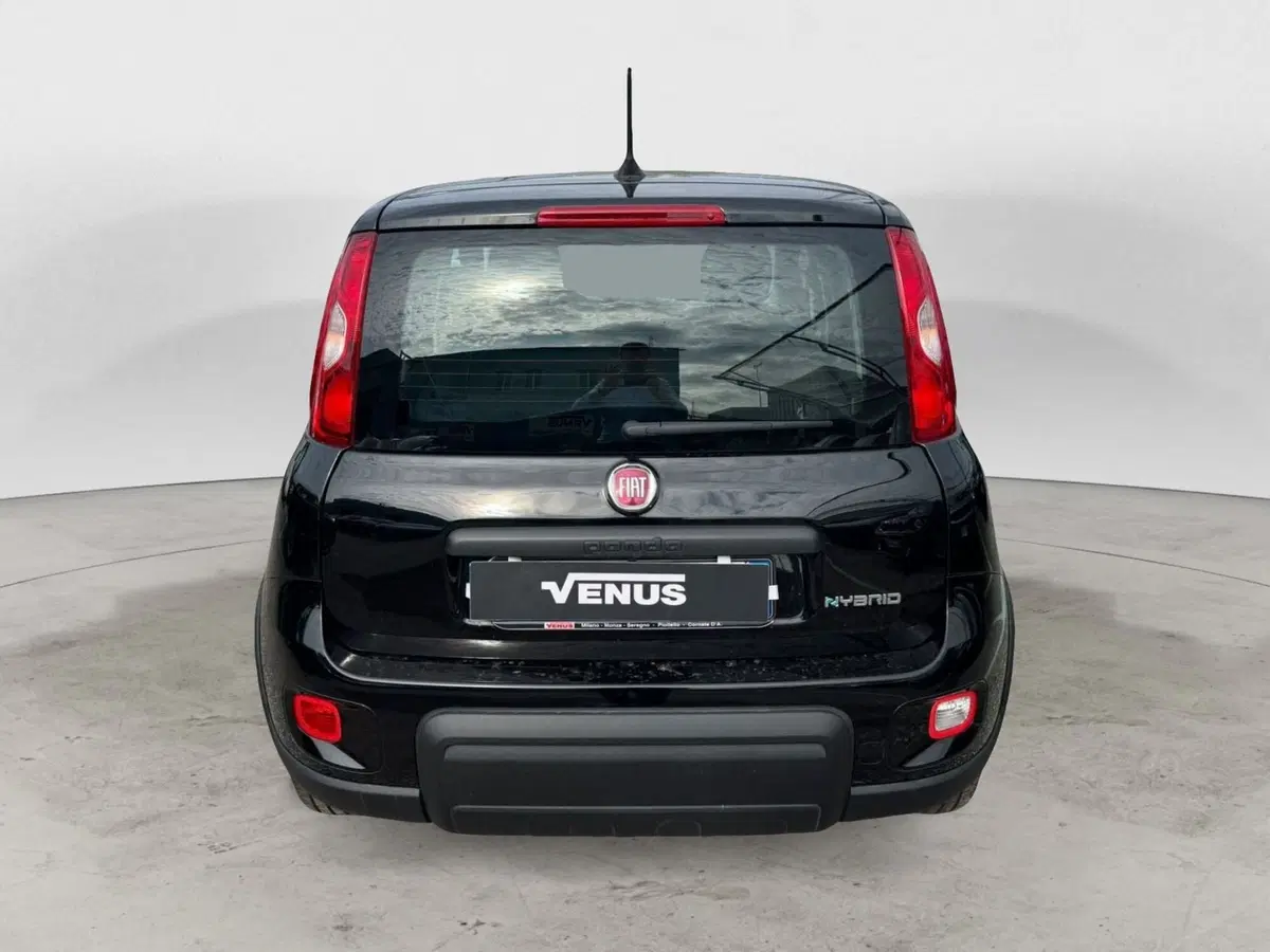 Fiat Panda Cross usata a Monza e Brianza (6)