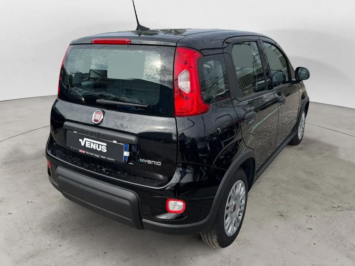 Fiat Panda Cross usata a Monza e Brianza (7)