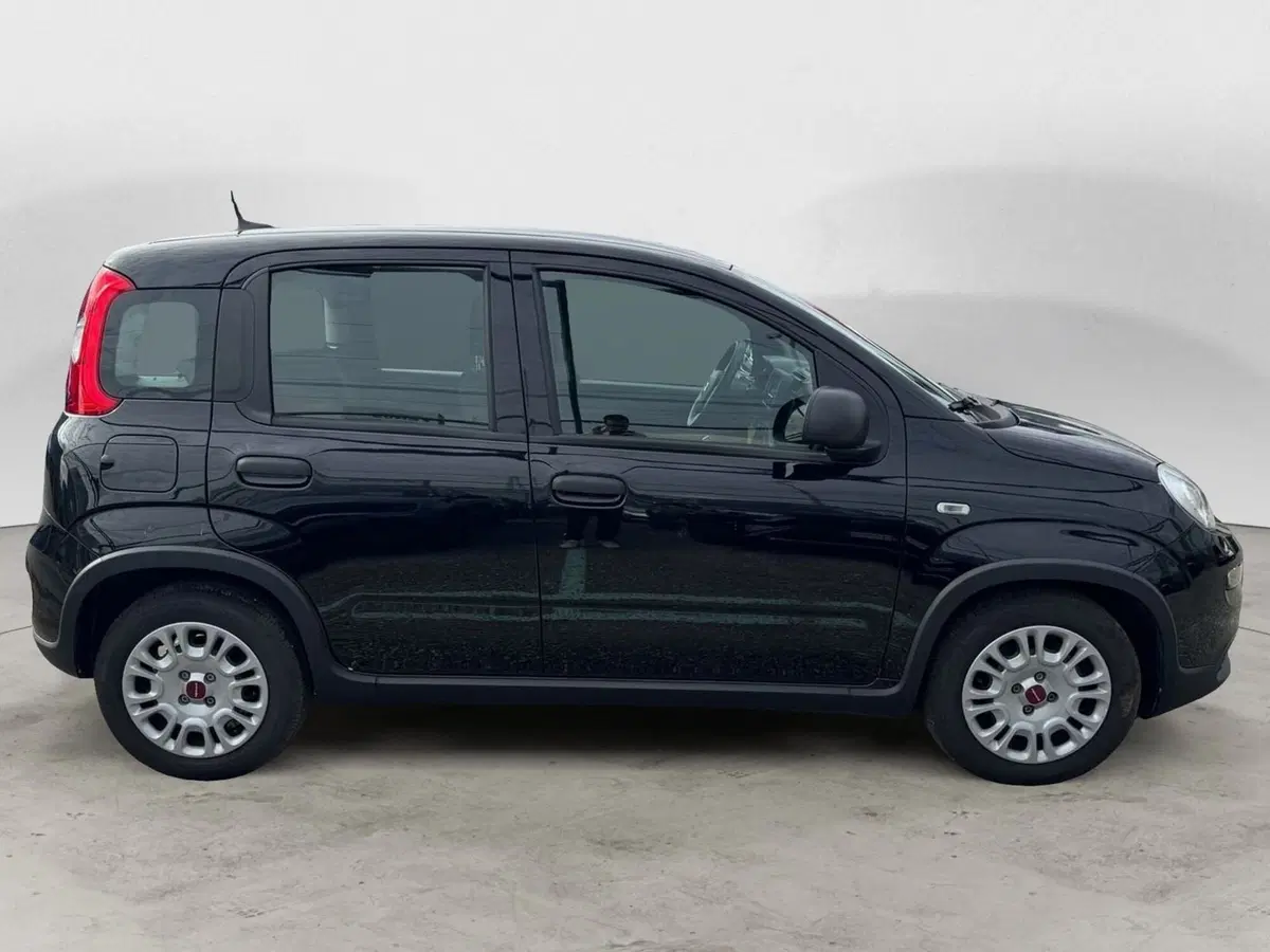 Fiat Panda Cross usata a Monza e Brianza (8)