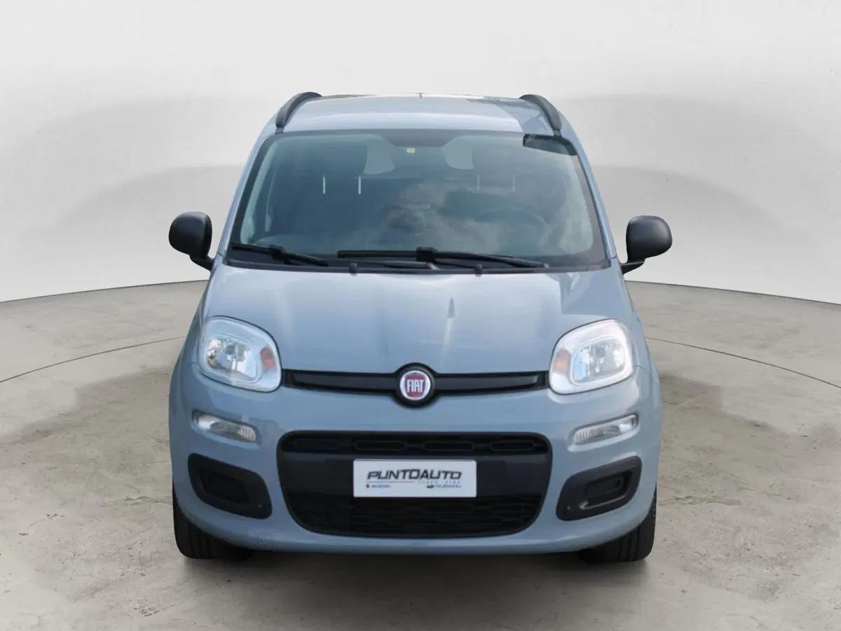 Fiat Panda usata a Cuneo (2)