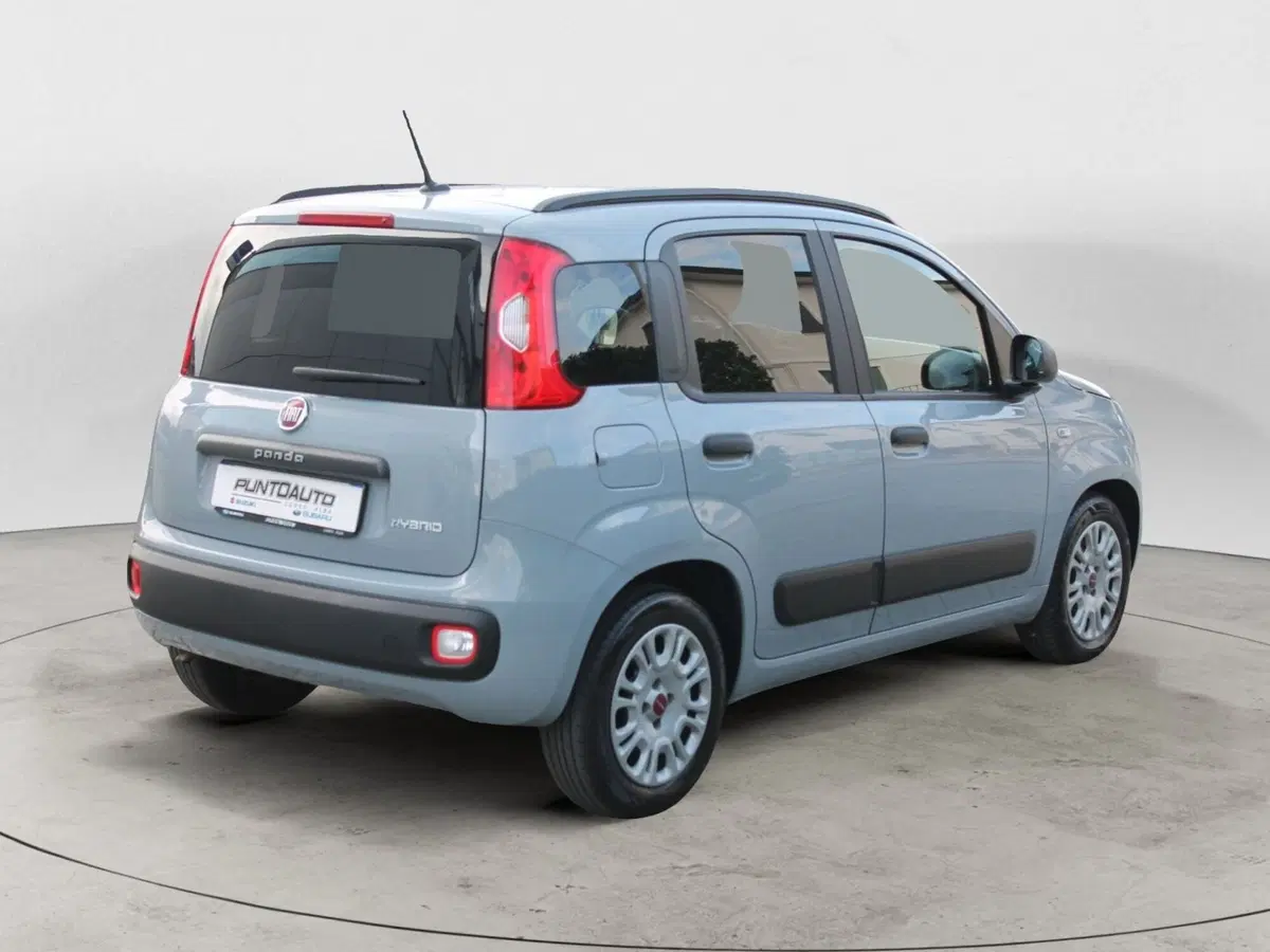 Fiat Panda usata a Cuneo (4)