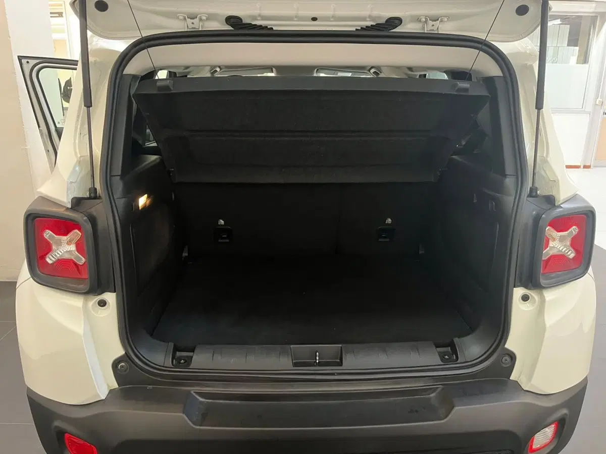 Jeep Renegade usata a Lucca (13)