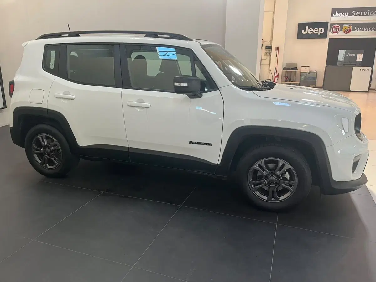Jeep Renegade usata a Lucca (4)