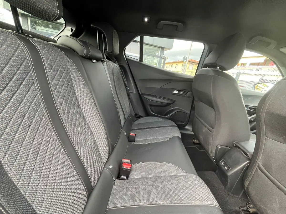 Peugeot 2008 usata a Massa-Carrara (14)