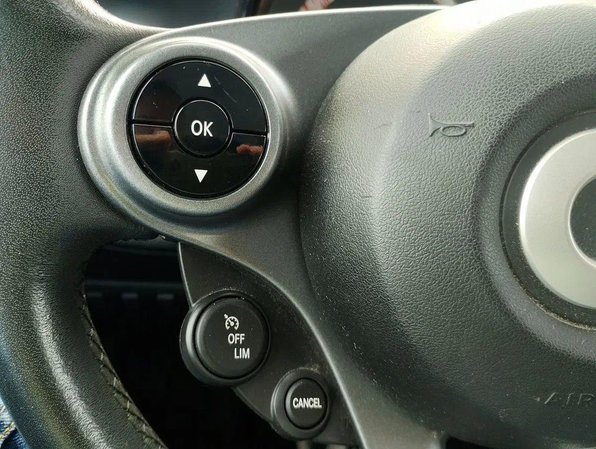 smart Fortwo usata a Ravenna (14)