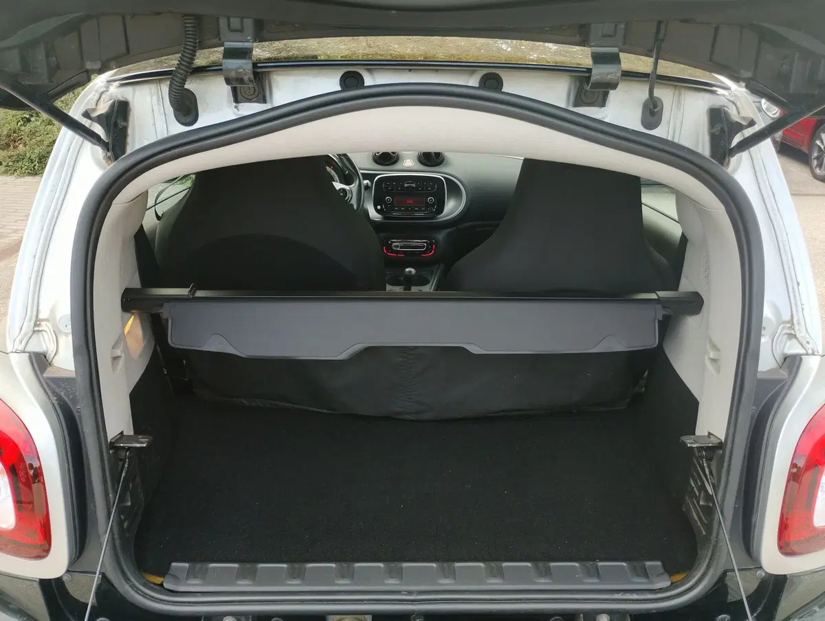 smart Fortwo usata a Ravenna (5)
