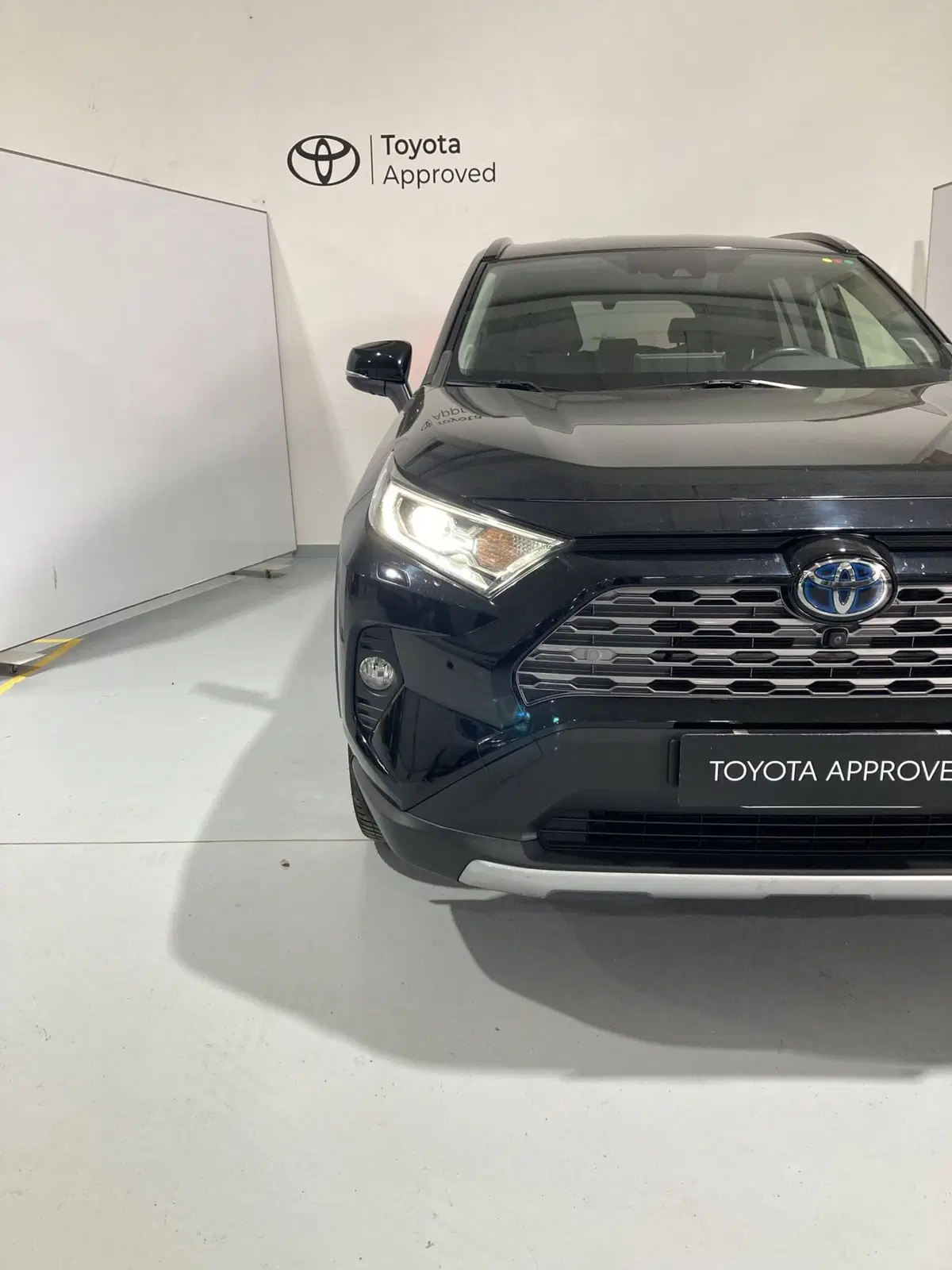 Toyota Rav4 usata a Barletta-Andria-Trani (2)