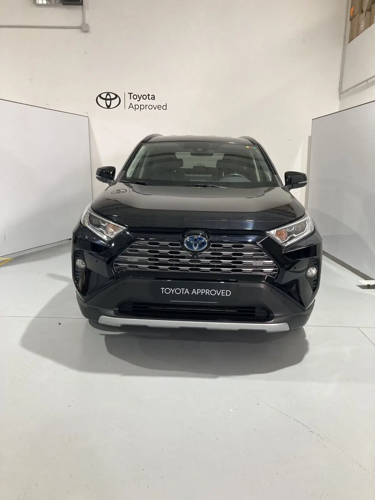 Toyota Rav4 usata a Barletta-Andria-Trani (4)