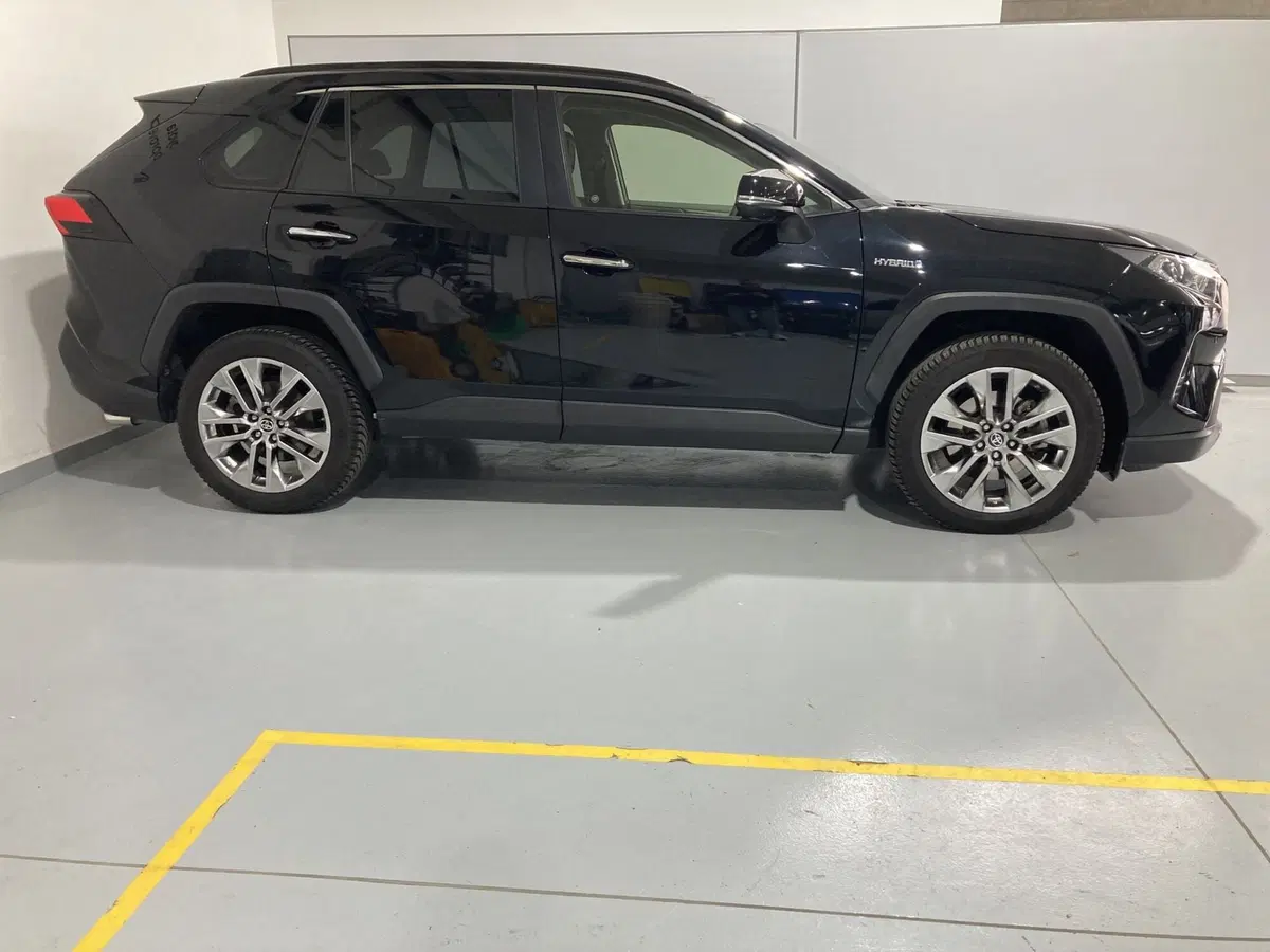 Toyota Rav4 usata a Barletta-Andria-Trani (5)