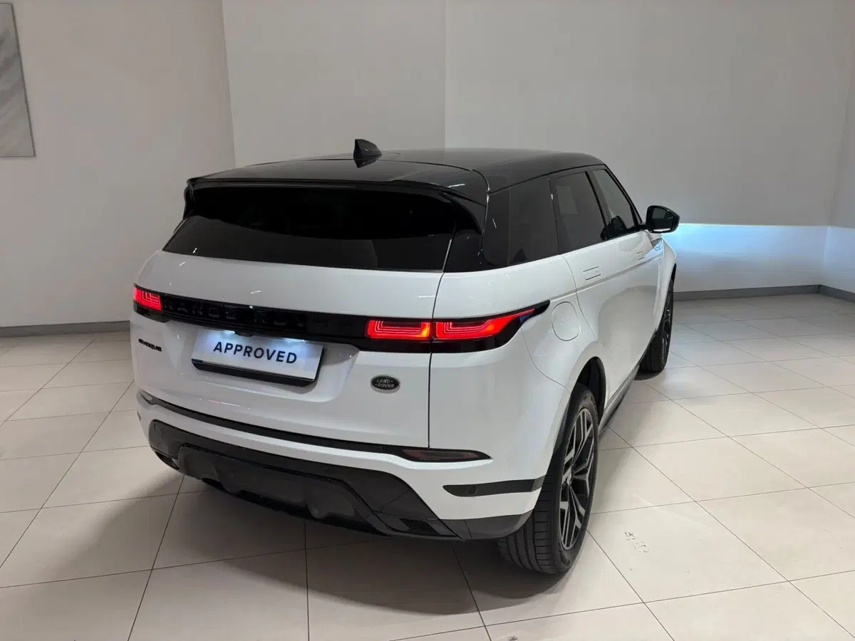 Land Rover Range Rover Evoque usata a Napoli (2)