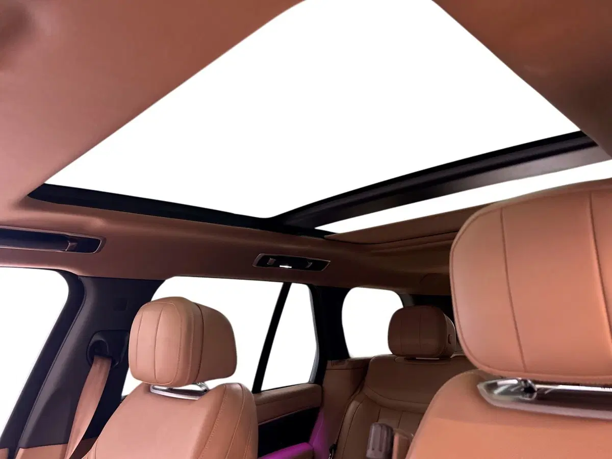 Land Rover Range Rover usata a Modena (18)