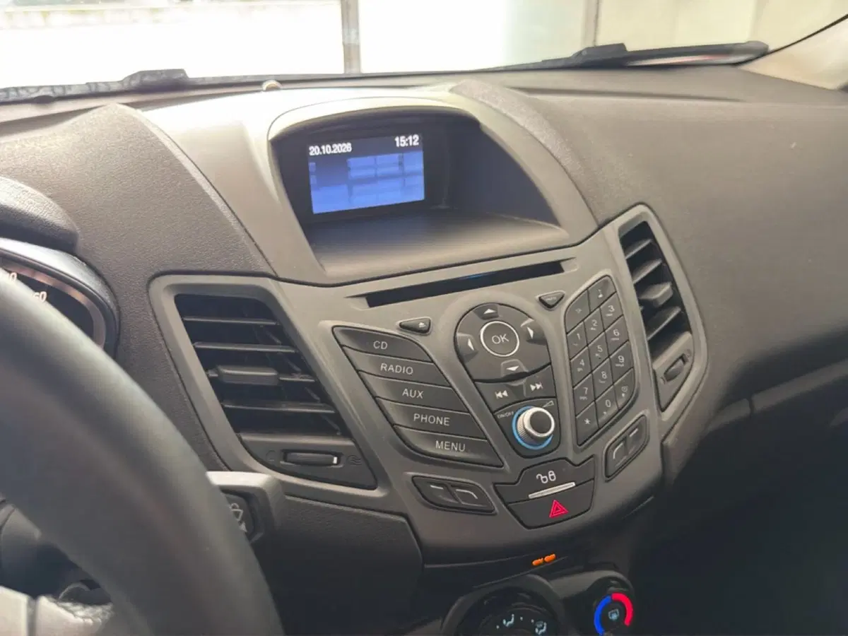 Ford Fiesta usata a Arezzo (15)