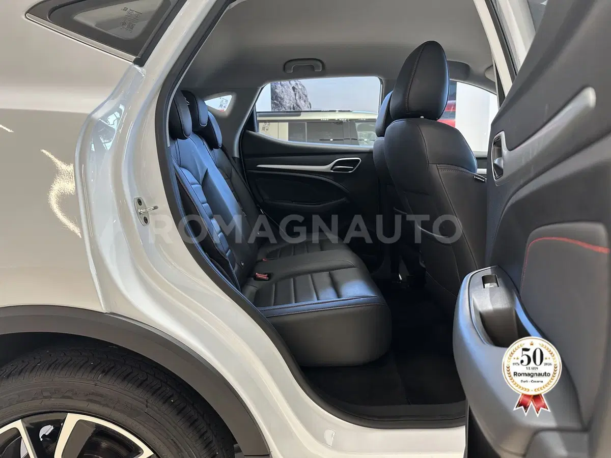 Mg ZS usata a Forlì-Cesena (11)