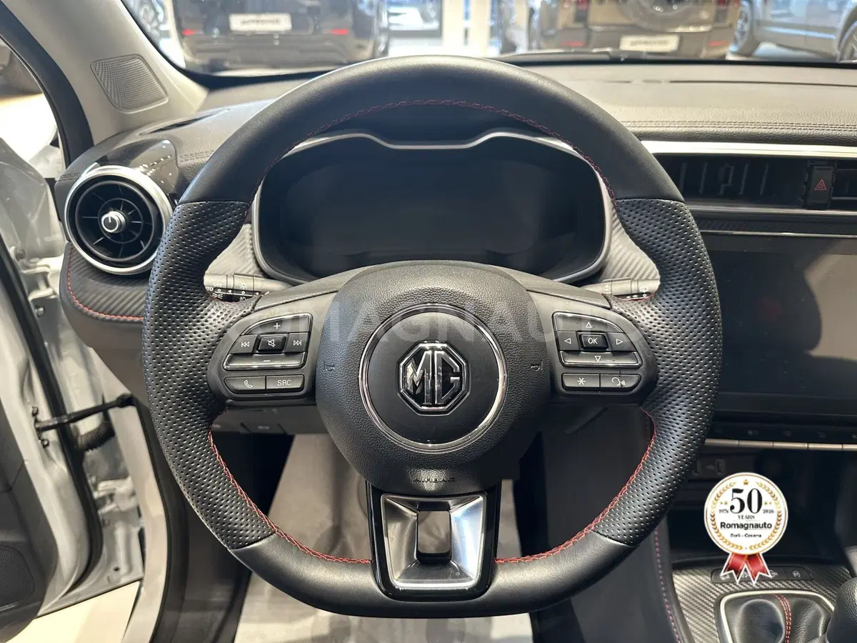 Mg ZS usata a Forlì-Cesena (16)