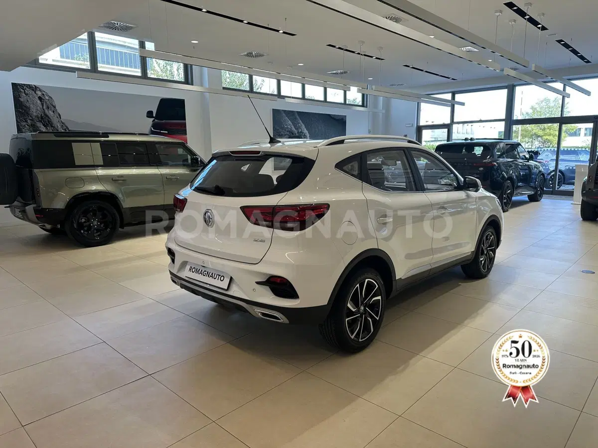 Mg ZS usata a Forlì-Cesena (5)