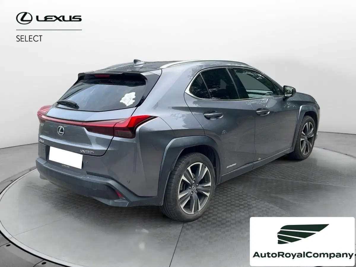 Lexus UX usata a Roma (5)