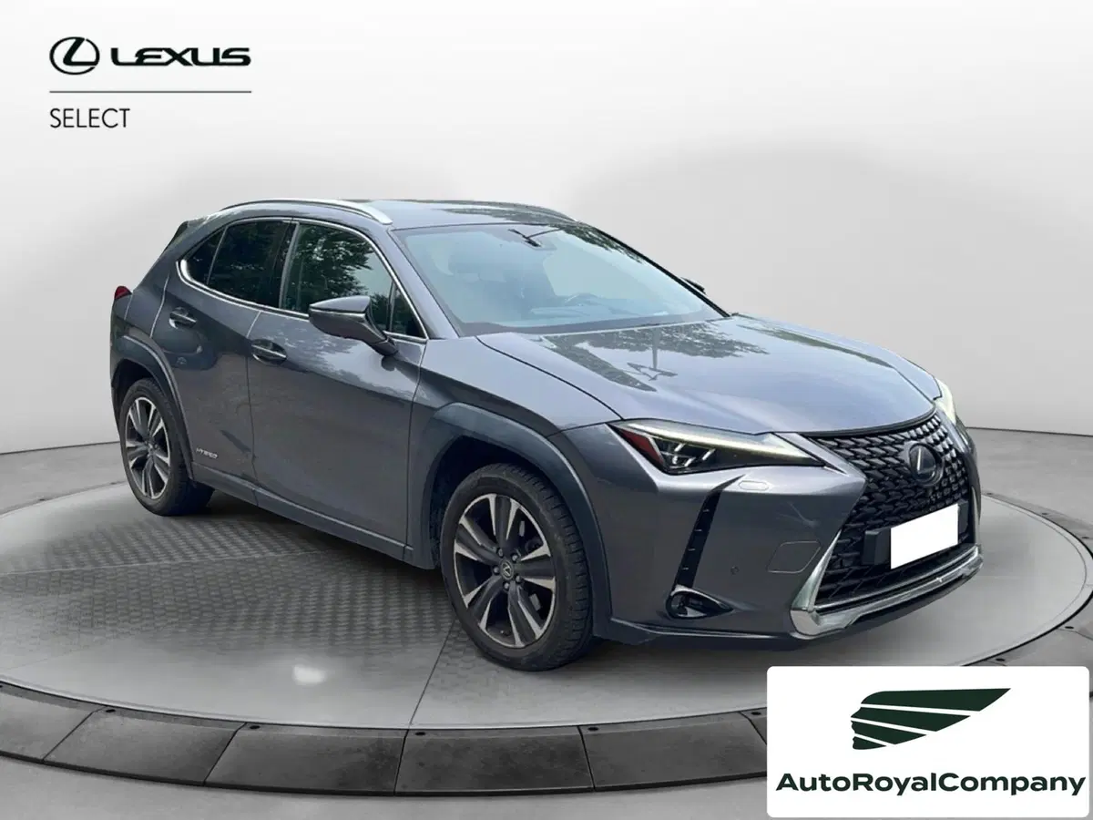 Lexus UX usata a Roma (7)