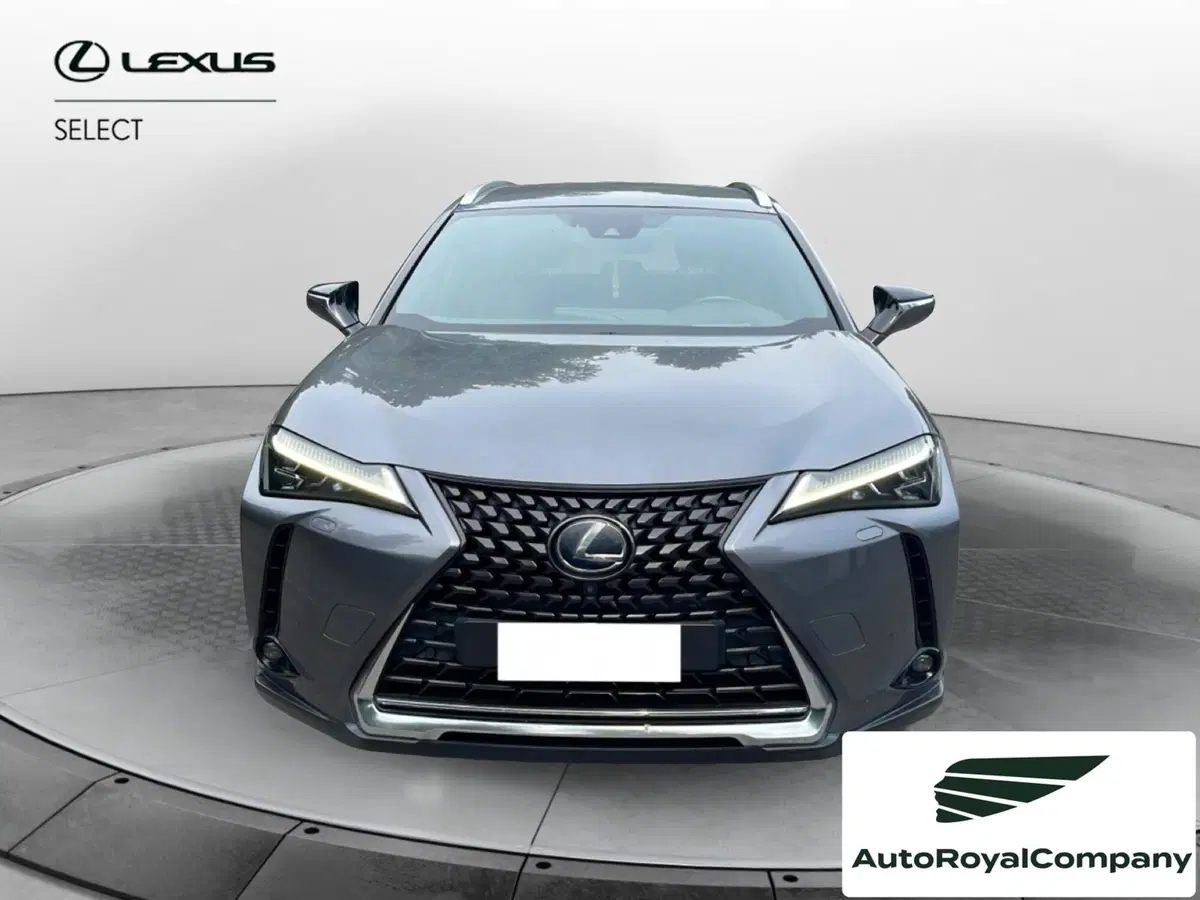 Lexus UX usata a Roma (8)