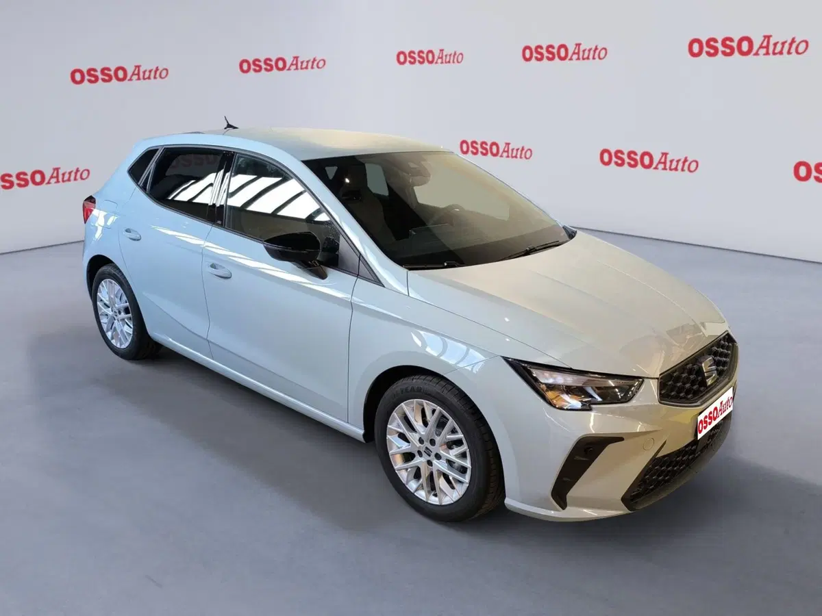 SEAT Ibiza usata a Udine (2)