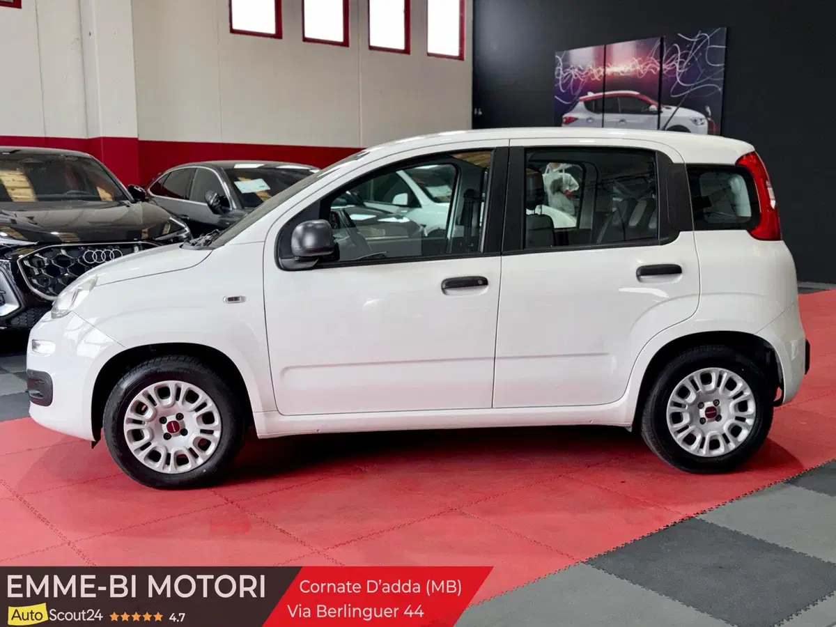 Fiat Panda usata a Monza e Brianza (2)