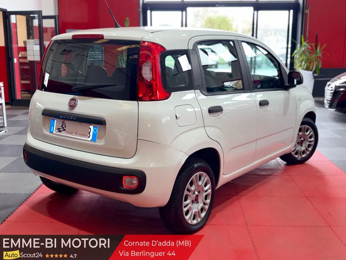 Fiat Panda usata a Monza e Brianza (3)