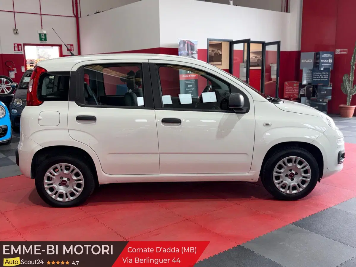 Fiat Panda usata a Monza e Brianza (4)