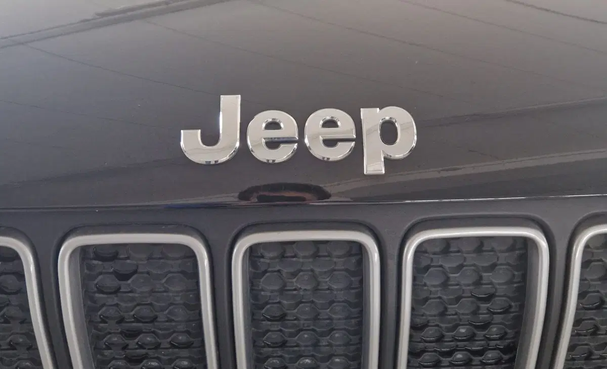 Jeep Renegade usata a Terni (19)