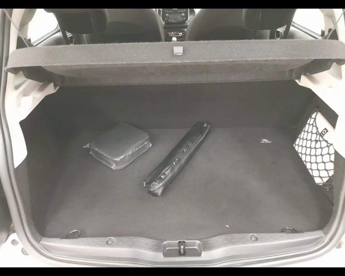 smart forfour usata a Alessandria (10)