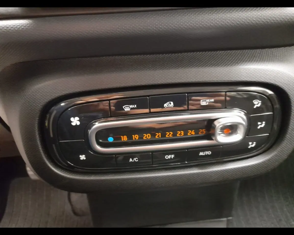 smart forfour usata a Alessandria (13)