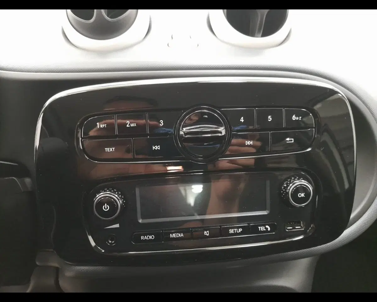 smart forfour usata a Alessandria (14)
