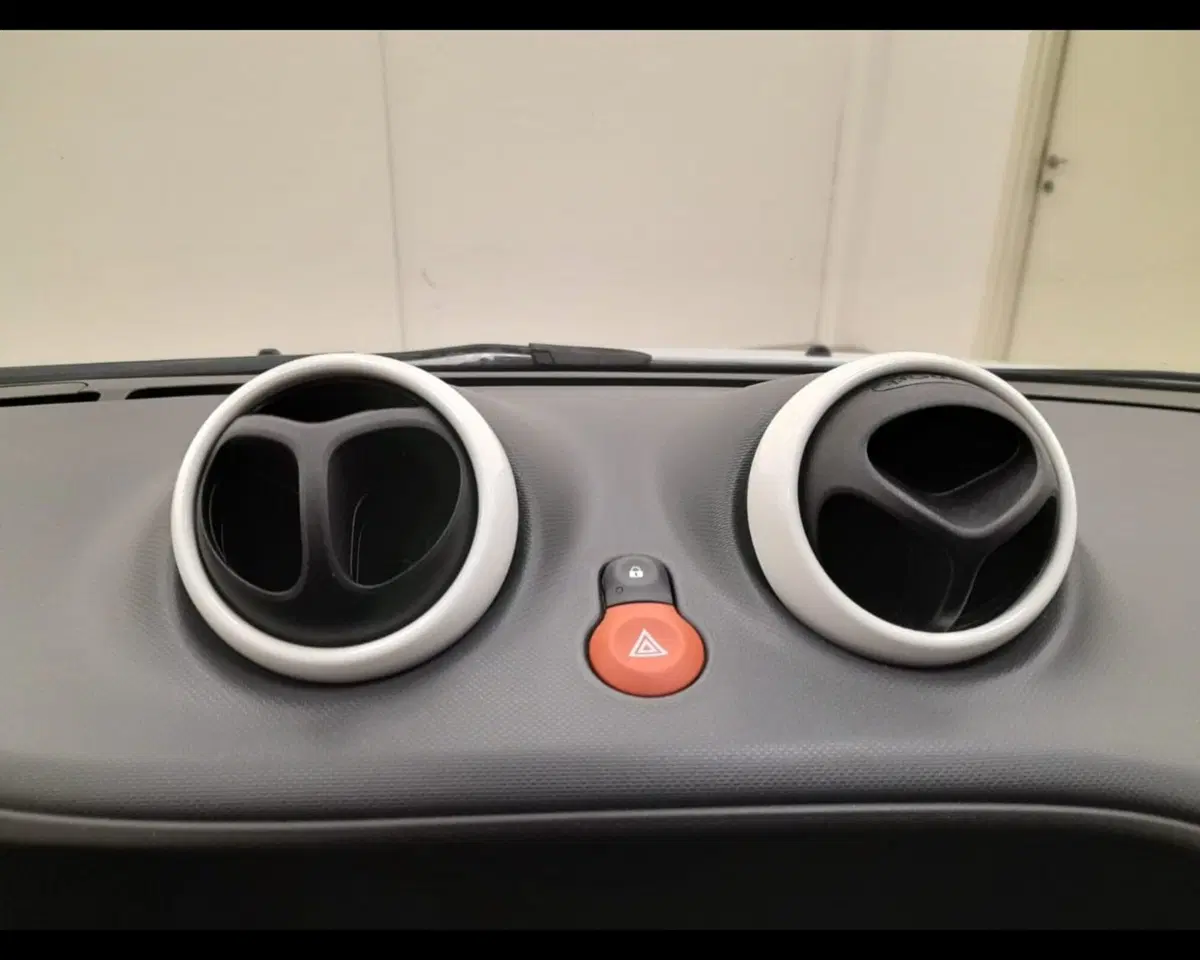 smart forfour usata a Alessandria (15)